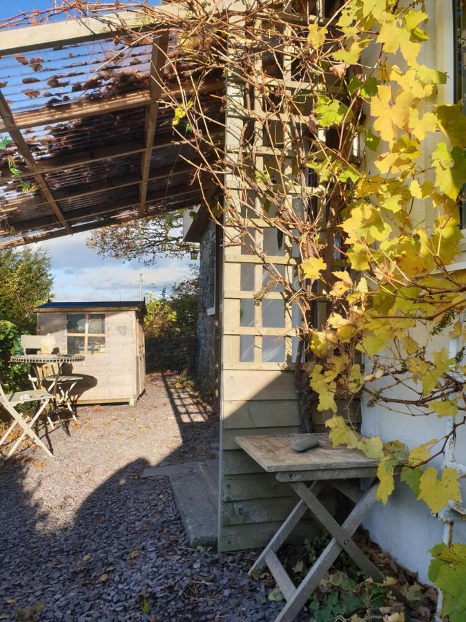 Pen Y Geulan Villa Макънтлет Екстериор снимка